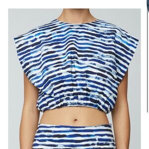 A.L.C. Blue and White Striped Top